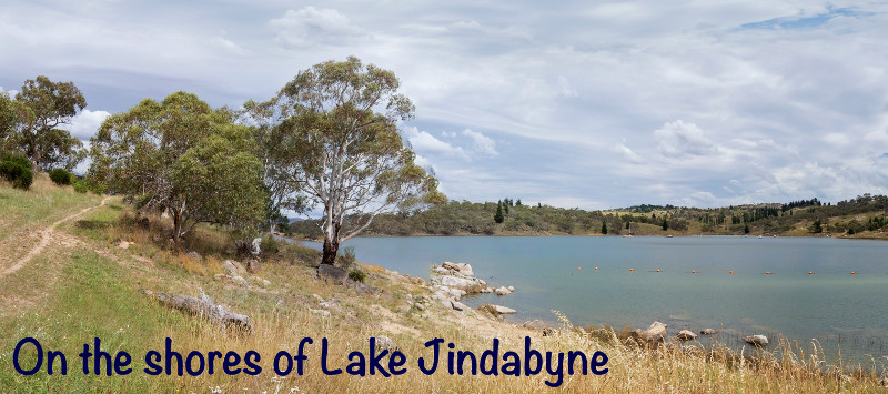 View of Lake Jindabyne